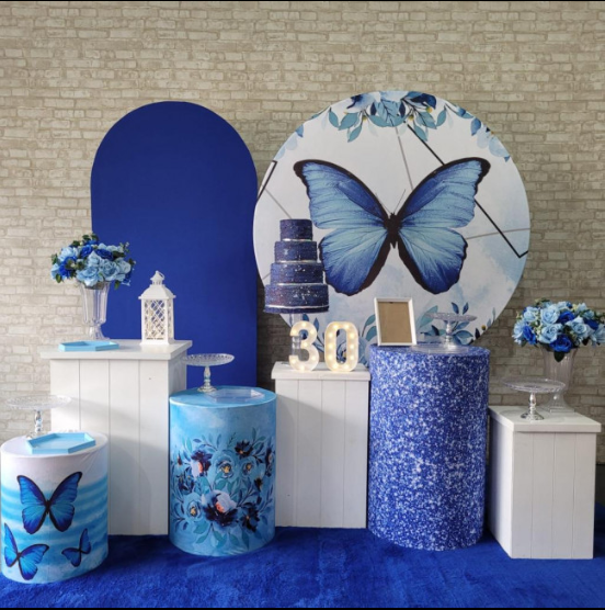 Alugue Tema Para Festa Decoração Borboleta Tecido ( Modelo 3 )
