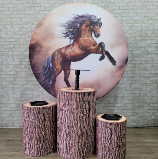 Alugue Tema Para Festa Decoração Cavalo Tecido ( Modelo 1 )