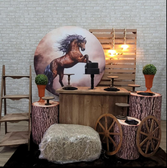 Alugue Tema Para Festa Decoração Cavalo Tecido ( Modelo 3 )