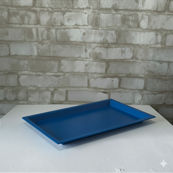 Alugue Bandeja Retangular Azul