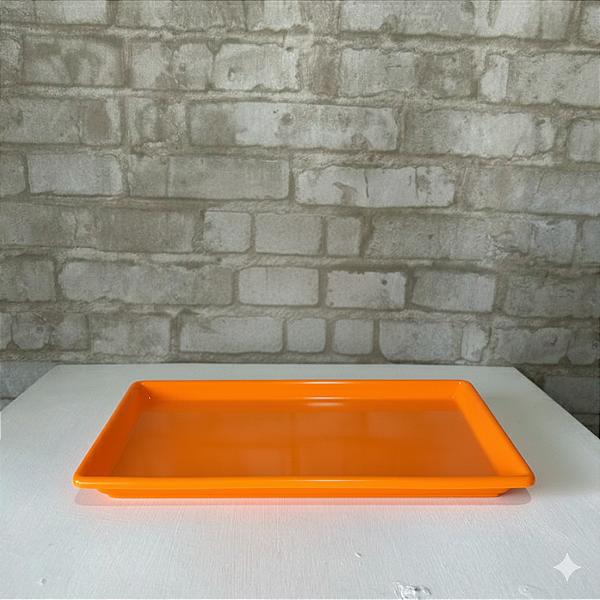 Alugue Bandeja Retangular Laranja