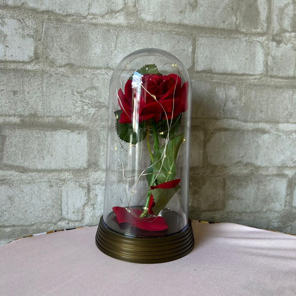 Alugue Rosa com Cúpula de Vidro a Bela e a Fera LED
