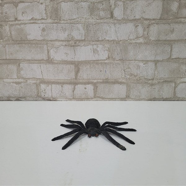 Alugue Aranha de Borracha Halloween