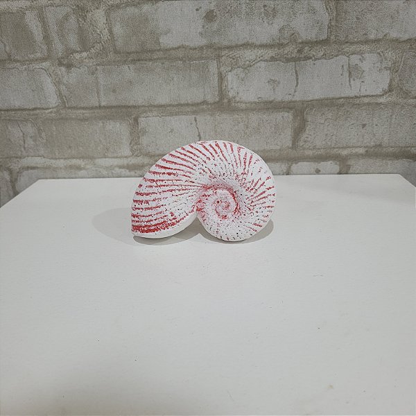 Alugue Item Decorativo Concha P