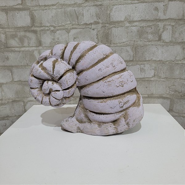 Alugue Item Decorativo Concha G