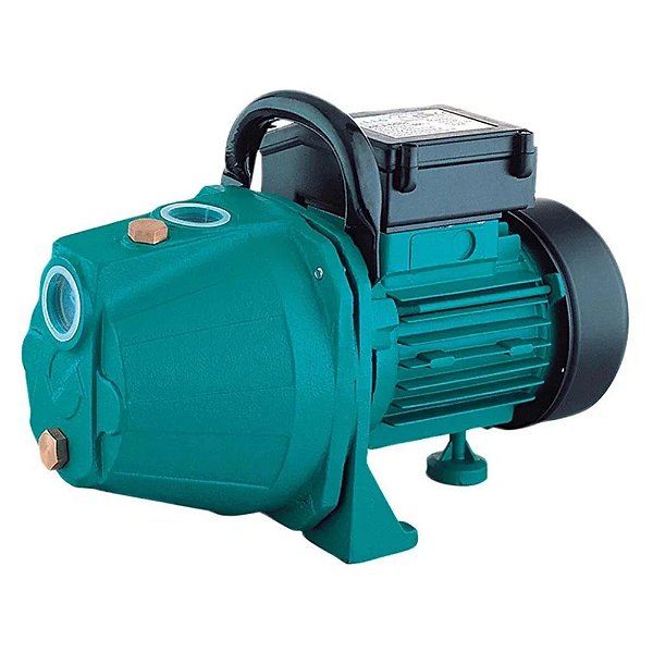 Bomba Lepono Auto Aspirante XKJ900 - 1CV X 220V