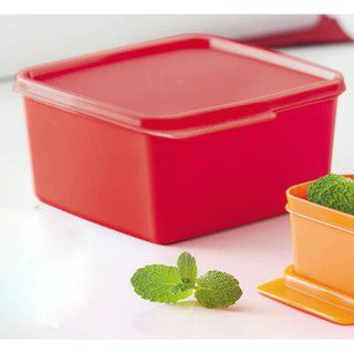 BASIC LINE 1,2L VERMELHO