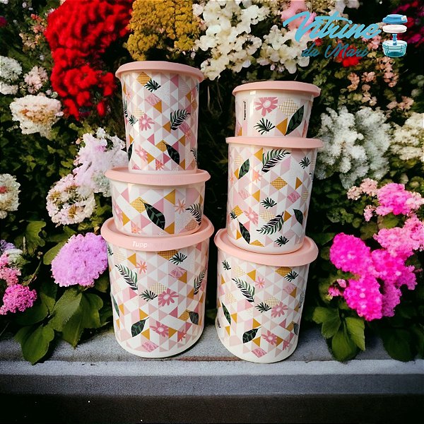 KIT TUPPERWARE INSTANTÂNEAS JARDIM VERTICAL ROSA 6 PEÇAS ( 4,2-  3,3 - 1,3- 1,5- 2,2 e 575ml)