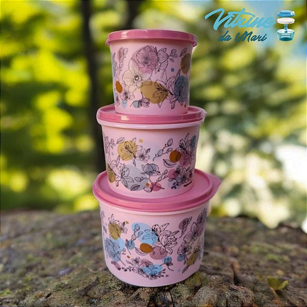 KIT TUPPERWARE CAIXAS ORQUÍDEAS 3 peças ( 1,1L, 2,4L e 500ml)