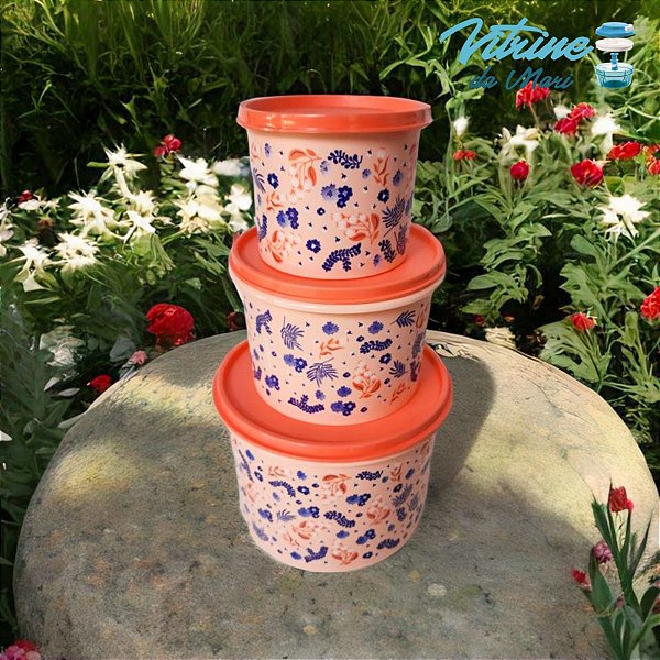 CONJUNTO DE TUPPER POTES - JARDIM FLORIDO 3peças ( 2,4L, 1,1L e 500ml )