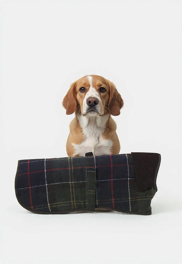 Casaco Para Cães Com Toque De Lã Barbour - Unissex - multicolorido