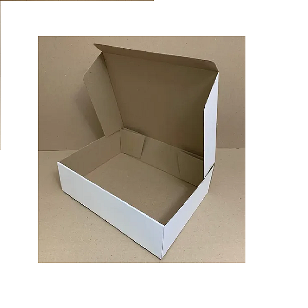 Chapa de Papelão 40cm x 82cm Nº 30