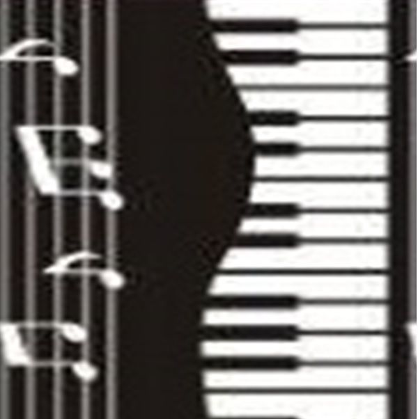 TAPETE PASSADEIRA SOFT 43cm LARGURA.