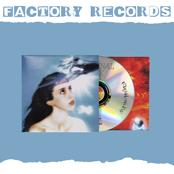 Magdalena Bay - Imaginal Disk - CD