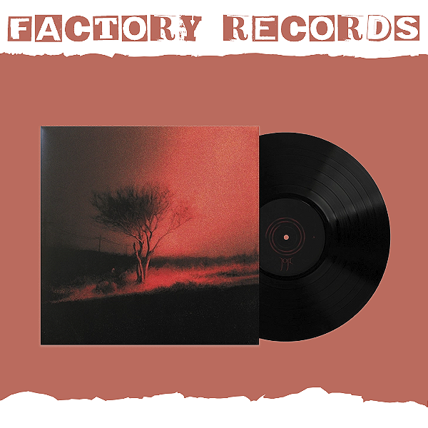 Joji - Piss In The Wind - LP