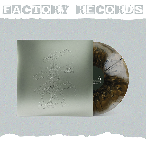 Beabadoobee - Pylon (Exclusive Foil Sleeve 'Bird Shit') - LP