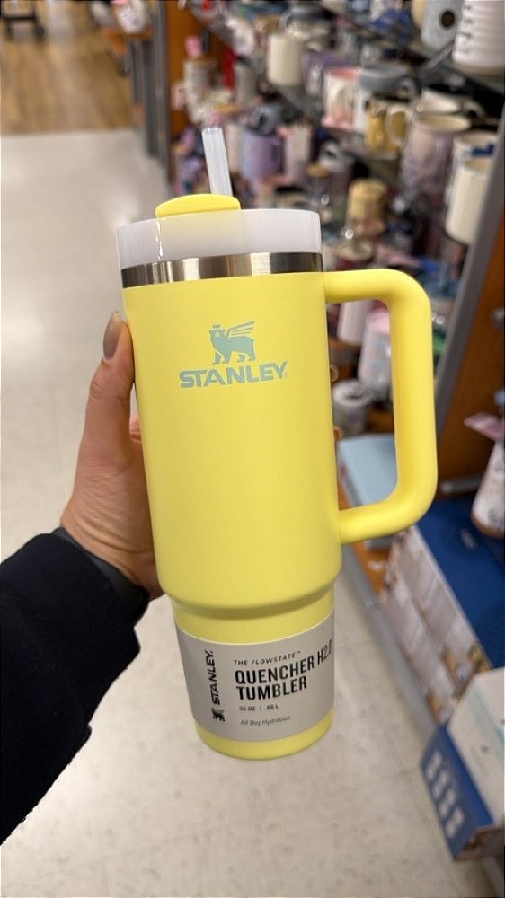 STANLEY Copo Quencher H2.0 com alça e canudo 887 ml
