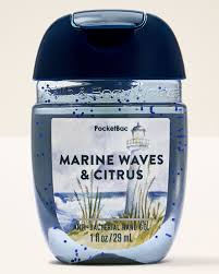 Alcool Gel Marine Waves & Citrus - Bath and Body Works