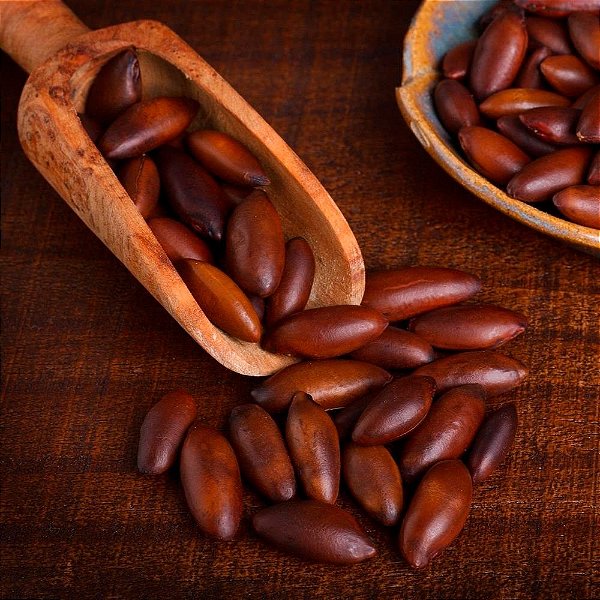 CASTANHA BARU TORRADA GRANEL 100g