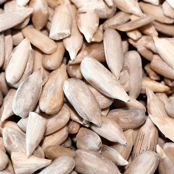 SEMENTE DE GIRASSOL S/CASCA 100g