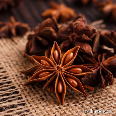 ANIS ESTRELADO GRANEL 100g