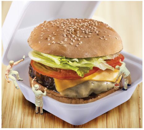 HAMBURGUEIRAS-FF