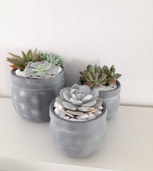 3 Marias Kit de arranjos de Suculentas