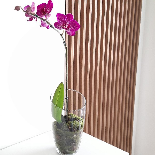 ARRANJO PHALAENOPSIS PINK