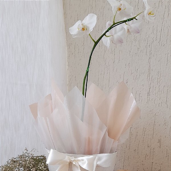ARRANJO DE ORQUÍDEA BRANCA NO VASO DE FIBRA DE BAMBU