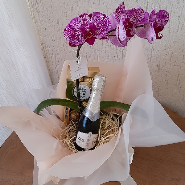 KIT ORQUIDEA PRESENTE FERRERO ROCHER E BEBIDA