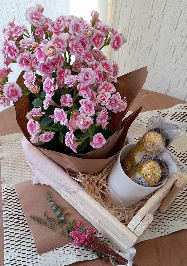 CESTA KALANCHOE LIA