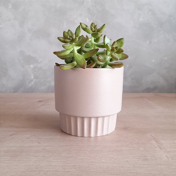 ARRANJO DE SUCULENTA VASO BEGE