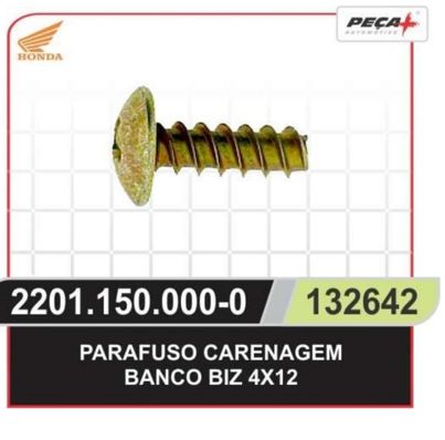PARAFUSO PROTETOR DE PERNAS BIZ 4X12