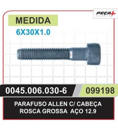 PARAFUSO ALLEN 6X30X1.0 ROSCA CROSSA &ESTATOR YBR 125 &