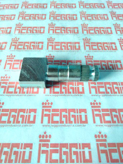EIXO ABRE PATIN TRAS TENERE 600 (REGGIO) j