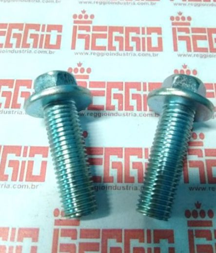 JOGO PARAFUSO PINÇA YBR 125/FACTOR (REGGIO) k
