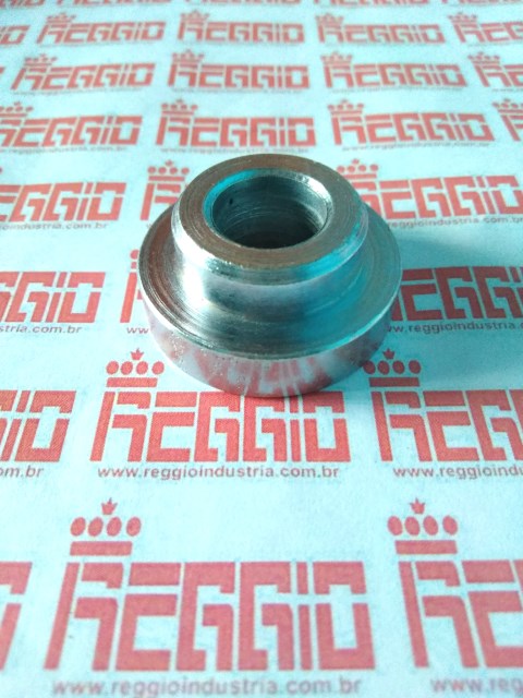 BUCHA DA RODA TRAS (DIR) DAFRA SPEED w