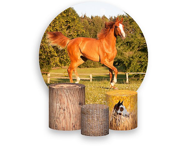 Painel De Festa Redondo 1,50 x 1,50 + Trio De Capas Cilindro - Cavalo Castanho 005