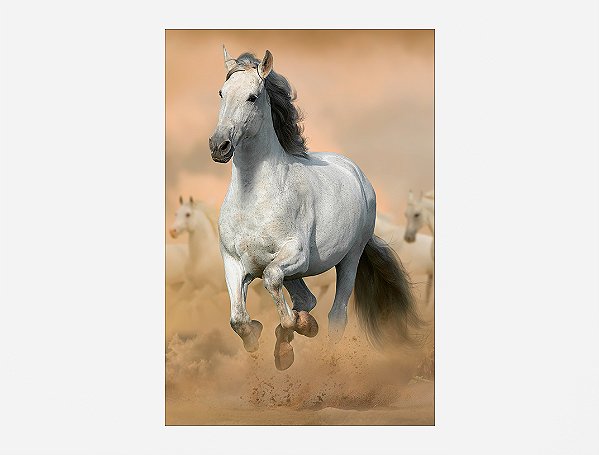 Painel De Festa Vertical 1,50 x 2,20 - Cavalo Branco Galopando 002