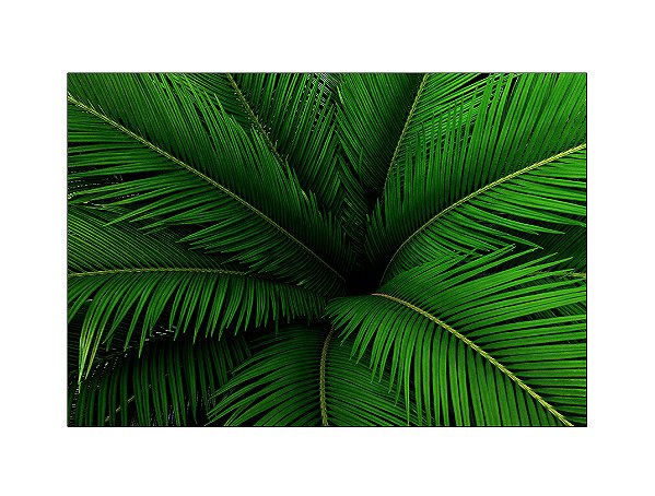 Fundo Fotográfico 2,20 x 1,50 - Estampa Folhas de Palmeiras 061