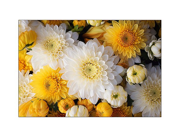 Fundo Fotográfico 2,20 x 1,50 - Flores Margaridas Amarelo e Branco 167