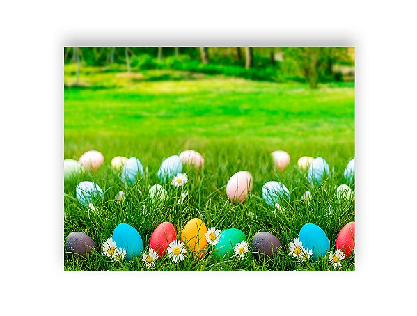Fundo Fotográfico 1,55 x 1,20 - Ovos De Páscoa Gramado 037