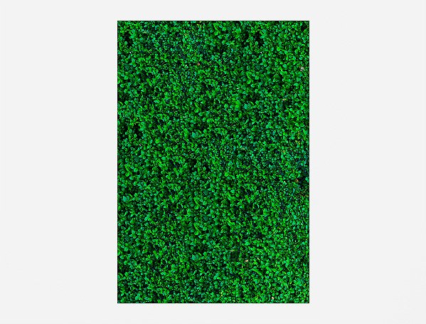 Painel De Festa Vertical 1,50 x 2,20 -  Efeito Muro Inglês Folhagens Verde 007