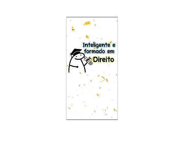 Painel De Festa Vertical 1,00 x 2,00 - Flork Formatura Direito 021