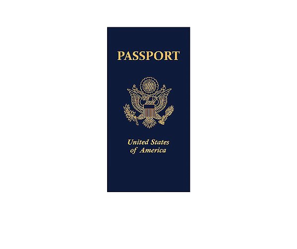 Painel De Festa Vertical 1,00 x 2,00 - Volta ao Mundo Passaporte 002