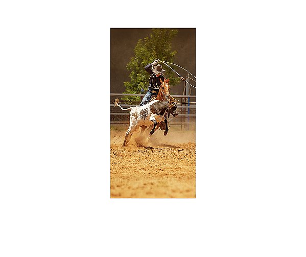 Painel De Festa Vertical 1,00 x 2,00 - Cowboy Vaquejada Realista 013