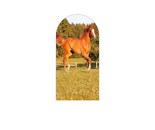 Painel De Festa Romano 1,00x2,00- Cavalo Correndo no Pasto 008