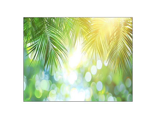Fundo Fotográfico 1,55 x 1,20 - Tropical Iluminada Folhas de Palmeiras 198