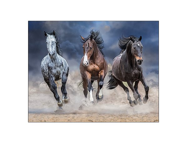 Painel de Festa Horizontal 1,55 X 1,20 - Cavalos Levantando Poeira 003