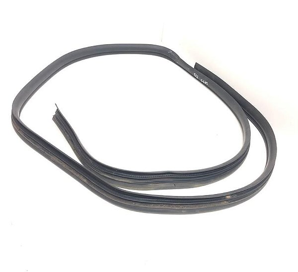 Borracha Porta Traseira Esquerda Renault Clio Hatch 2009 Pz